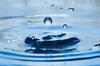 Suspended Water Droplets Photo Print