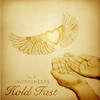 Hold Fast - Awakeneers