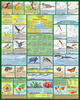 Animals at Risk from Climate Change Poster