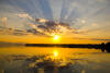 Sunbeams - Inspiring Nature Image