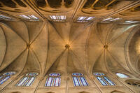 Notre dame - 