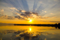 Sunbeams - Inspiring Nature Image