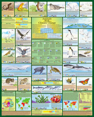 Animals at Risk from Climate Change  - Laminated Poster